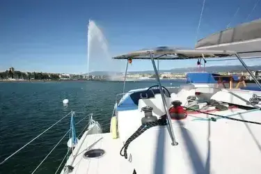 cruises